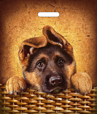 Пакет ПВД (40*47) 45 мкм "Рекс" (50)