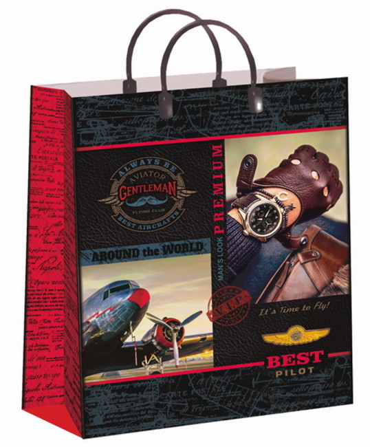 Сумки подарочные с пластиковой ручкой (30*40) "Высший пилотаж"