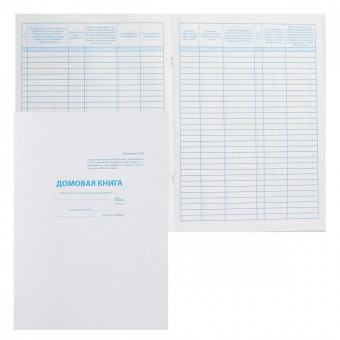 Домовая книга А4 16л,  скрепка, Проф-Пресс/16-2236