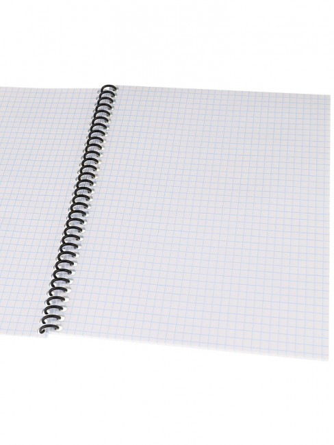 Тетрадь 48 клетка "Туманная дорога", на спирале, Проф-Пресс/48-8323 (10/80)