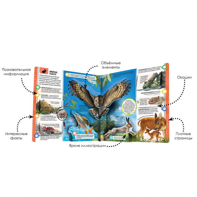 Книга "Планета Земля" из серии «Энциклопедия открытий». Формат: 21.7x22см 12стр,MaLaMaLaMa