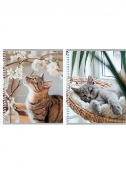 Тетрадь 48 клетка "Уютные котики", на спирале, Проф-Пресс/48-2342 (10/80)
