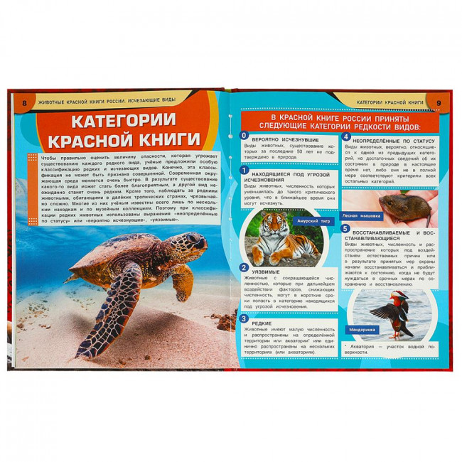 Энциклопедия «Животные Красной книги России». Формат: 197х255мм 48стр. Умка Энциклопедия «Животные Красной книги России». Формат: 197х255мм 48стр. Умка