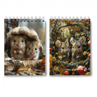 Блокнот А6 60л клетка "Мышки-шалунишки", на гребне, Светоч/Б120_01221 (4)