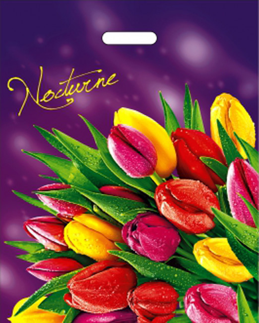 Пакет ПВД (40*50) 80 мкм "Ноктюрн"