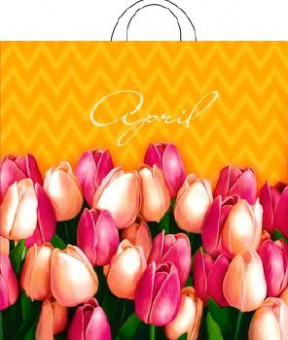 Пакет ПВД петлевой (40*42) 45 мкм "Апрель" (25) Пакет ПВД петлевой (40*42) 45 мкм "Апрель" (25)