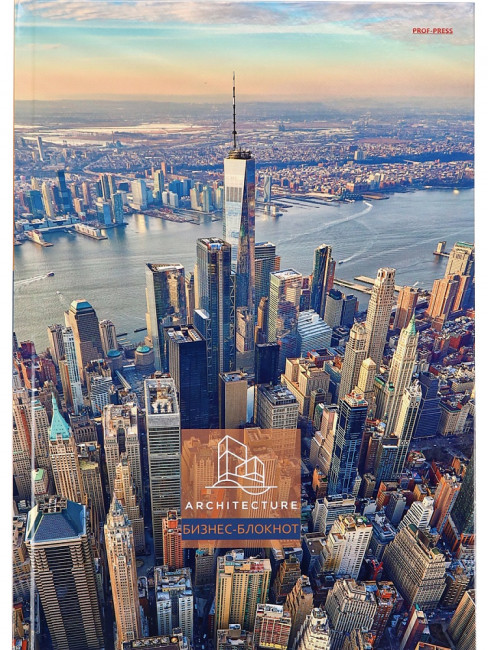 Бизнес- блокнот А4 120л клетка "Вид на небоскрёбы", 7БЦ, склейка, Проф-Пресс/Б120-6699 (10)