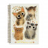 Тетрадь В5 60л линия на гребне "Котики. Счастье", BV/7-60-007/07 (40) Тетрадь В5 60л линия на гребне "Котики. Счастье", BV/7-60-007/07 (40)