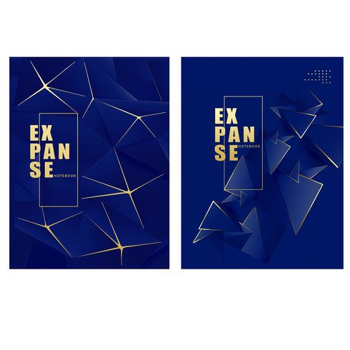 Бизнес-блокнот А5 переплёт твёрдый 80л. индивид.блок:клетка "Expanse" ламинация матовая 3D фольга (ассорти) BG (24)