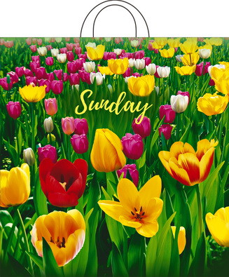 Пакет ПВД петлевой (40*42) 45 мкм "Поле тюльпанов" упк.25шт.