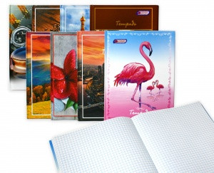 Блокнот А5 80 листов в клетку 7БЦ обложка, ассорти