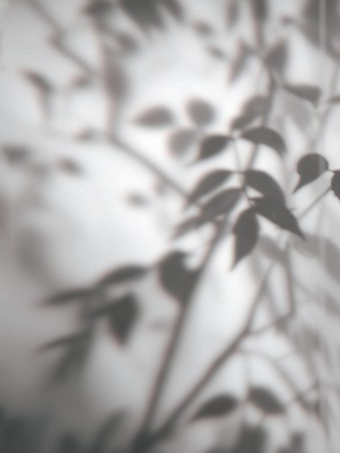 Записная книжка А5 80л клетка "Тень листьев", 7БЦ, склейка, Проф-Пресс/80-9406 (20)