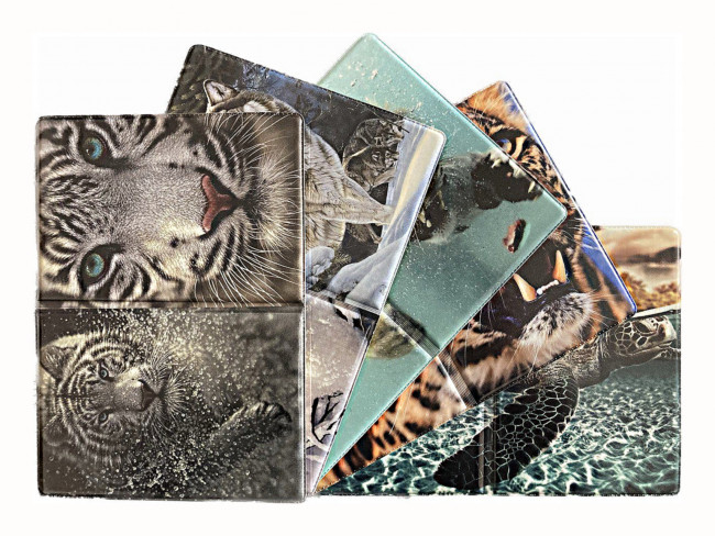 Обложка на паспорт WENZER OFFiCE из ПВХ с принтом, в асс. (50)