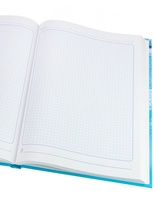 Бизнес- блокнот А4 160л клетка "Лодка и прибой", 7БЦ, склейка, Проф-Пресс/Б160-1360 (10)