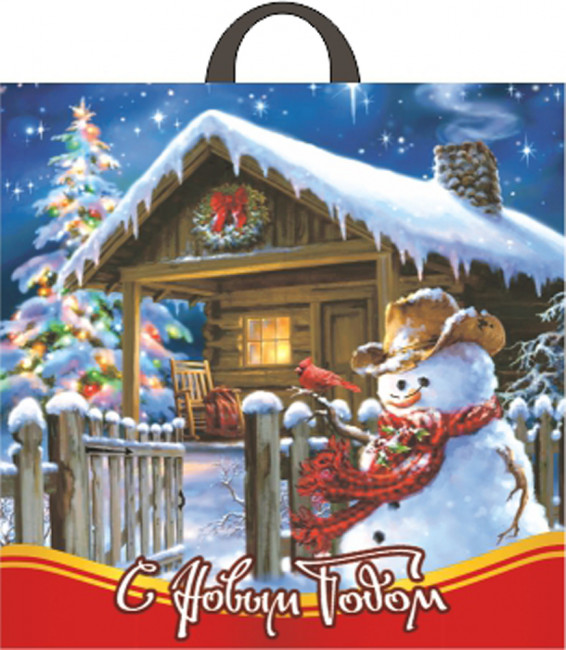 Пакет ПВД петлевой (44*44) 70 мкм "Зимний гость" (25)