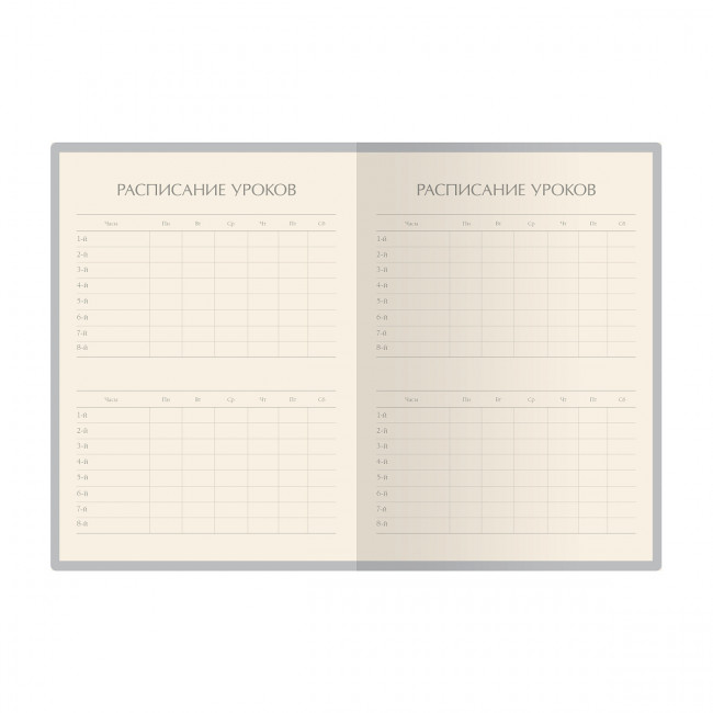 Дневник школьный А5 48л "Mecha-зой", сшивка, BV/10-160/35 (20)