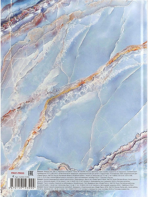 Бизнес- блокнот А4 200л клетка "Мрамор в голубом", 7БЦ, склейка, Проф-Пресс/Б200-9399 (10)