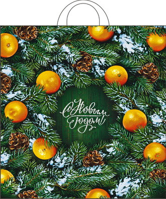 Пакет ПНД петлевой 38*42 40 мкм "Новогодний базар" (25)