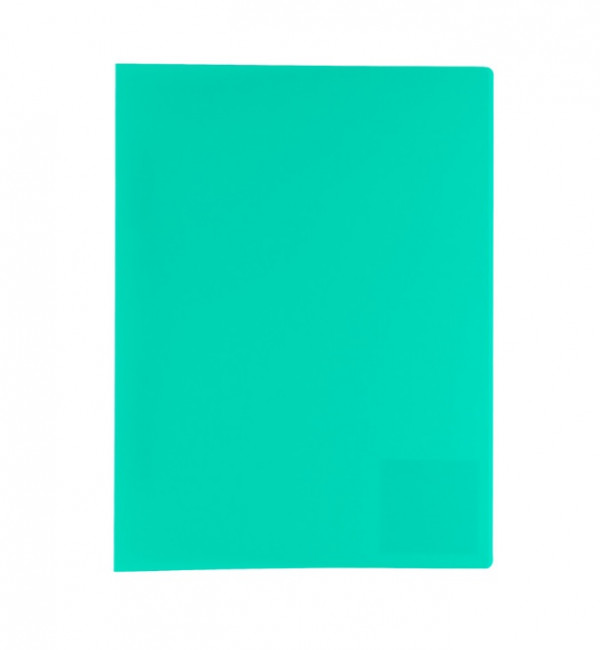 Папка А4 450мкр 15мм с пружинным скоросшивателем, песок, зеленый, Flexi Expert Complete/220513 (6)