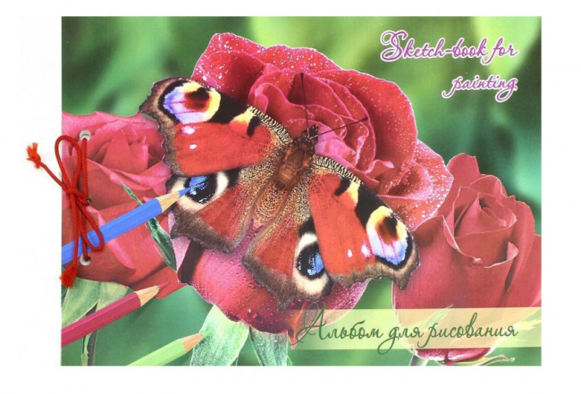 Альбом д/рисов.на сутаже 40 л 210х297 "Бабочки"/10/