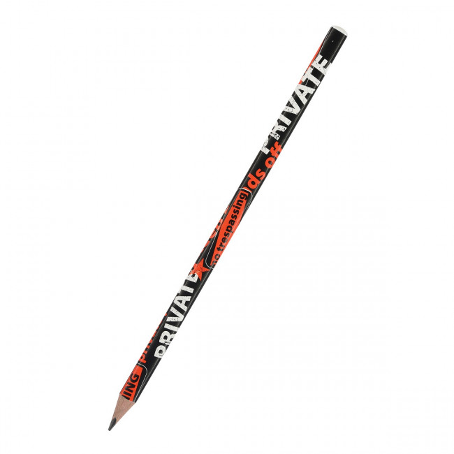 Карандаш 3мм НВ чернографитовый "HappyGraphix. Keep Away.Private", BV/21-0030/62 (50) Карандаш 3мм НВ чернографитовый "HappyGraphix. Keep Away.Private", BV/21-0030/62 (50)