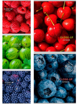 Тетрадь 48 клетка "Ягодные фото" скрепка, Проф-Пресс/48-3994 (5/100)