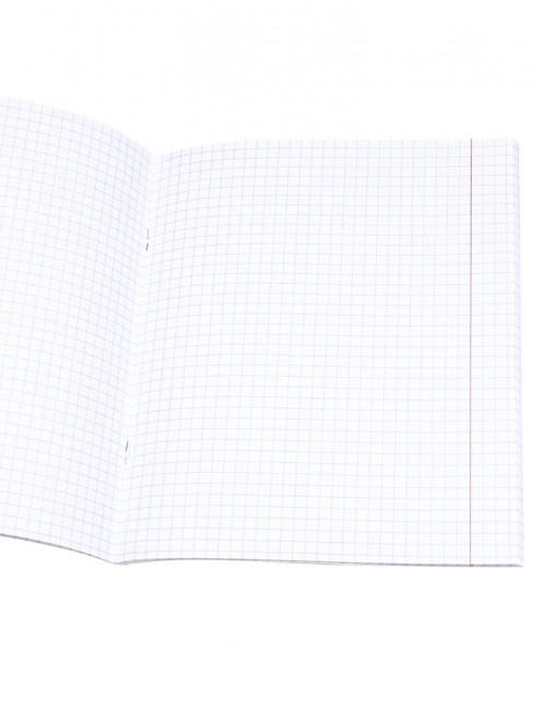 Тетрадь 48 клетка "Ягодные фото" скрепка, Проф-Пресс/48-3994 (5/100)