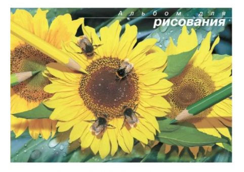 Альбом д/рисов.на сутаже 40 л 210х297 "Живая природа"/10/ Альбом д/рисов.на сутаже 40 л 210х297 "Живая природа"/10/