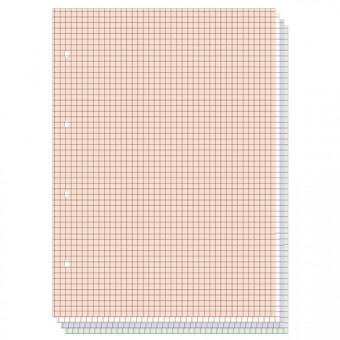 Сменный блок 200л. клетка А5, 4 цвета, на кольцах, BV/7-200-295 (14)