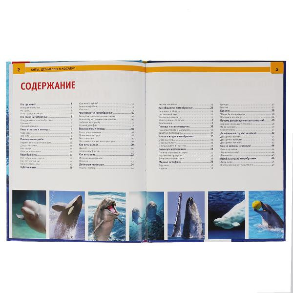 Энциклопедия «Киты, дельфины и касатки». Формат: 197х 255мм 48стр, Умка