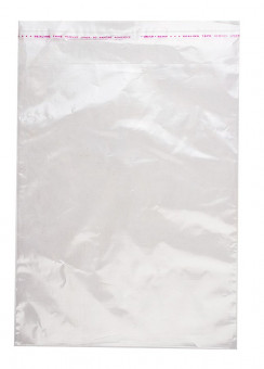 Пакет 15*20+5/25  с клеевым клапаном РР без печати, 100/2000