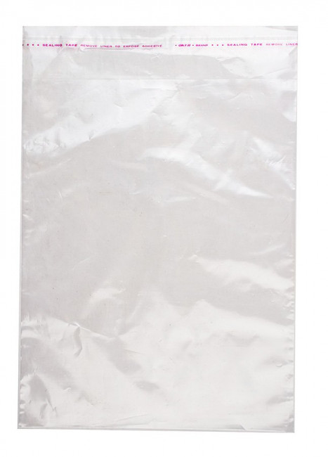 Пакет 15*20+5/25  с клеевым клапаном РР без печати, 100/2000