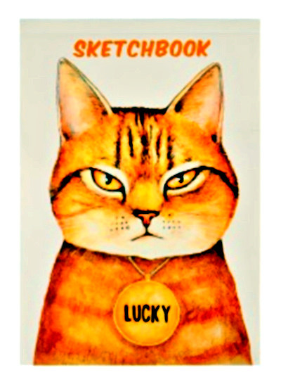 Скетчбук Хмурый кот А5, 48л, КБС С80-5063