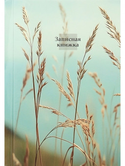 Записная книжка А6 160л клетка "Aesthetics-1", 7БЦ, склейка, Проф-Пресс/ЗК160-0084 (14)