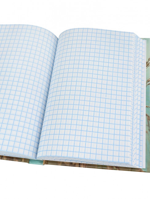 Записная книжка А6 160л клетка "Aesthetics-1", 7БЦ, склейка, Проф-Пресс/ЗК160-0084 (14)