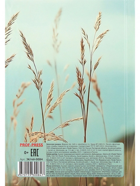 Записная книжка А6 160л клетка "Aesthetics-1", 7БЦ, склейка, Проф-Пресс/ЗК160-0084 (14)