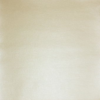 Бумага 30.5x30.5 см 250 г/кв.м для скрапбукинга, шампань, 10л, Mr.Painter /PSTM №02