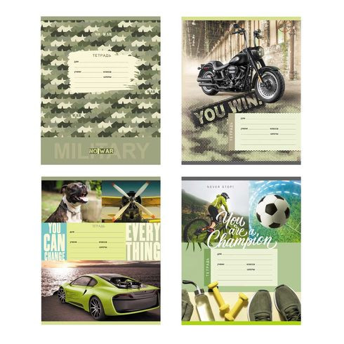 Тетрадь школьная А5 скоба 12л. клетка "Ты победил" (ассорти) BG (16/160)