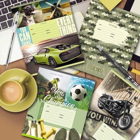 Тетрадь школьная А5 скоба 12л. клетка "Ты победил" (ассорти) BG (16/160)