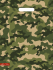 Пакет вырубной Камуфляж (30*40 см.) НФ-00034026 Пакет вырубной Камуфляж (30*40 см.) НФ-00034026