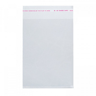 Пакет 20*30+5/25 с клеевым клапаном РР без печати 100/2000