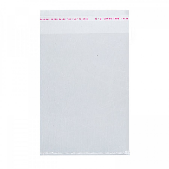 Пакет 20*30+5/25 с клеевым клапаном РР без печати 100/2000