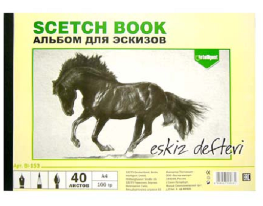 Альбом  для эскизов А-4 100гр.40лист, склейка, на подложке, INTELLIGENT, (BI-153) (5/40)