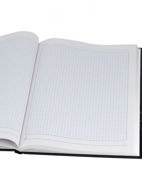 Бизнес-блокнот А4 96л клетка "Мегаполис", 7БЦ, склейка, Проф-Пресс/96-1730 (10)