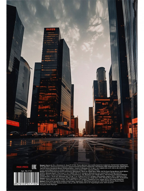 Бизнес-блокнот А4 96л клетка "Мегаполис", 7БЦ, склейка, Проф-Пресс/96-1730 (10)
