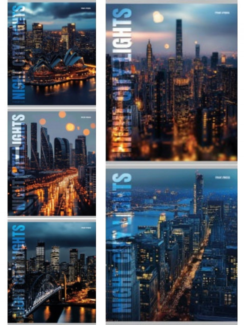 Тетрадь 48 линия "Виды мегаполисов", скрепка, Проф-Пресс/48-4300 (5/100)