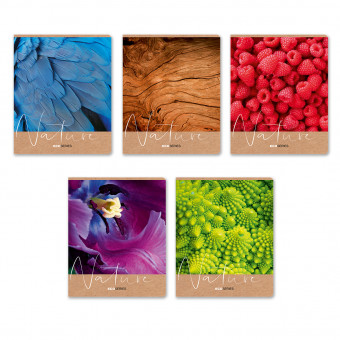 Тетрадь 96 клетка "Ах, лето!" скрепка, Светоч (5)