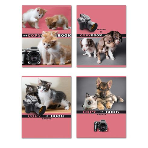 Тетрадь общая А5 скоба 48л. клетка "Фотомодели" (ассорти) BG (10/80)