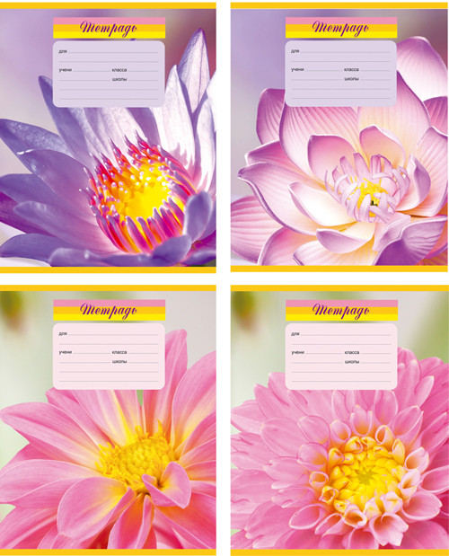 Тетрадь 12л. клетка "Sweet Flowers" (БиДжи) (20/240)