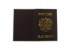Обложка на паспорт WENZER OFFiCE  "кожзам флоттер" с золотым тиснением Герб РФ, тёмно-коричневый